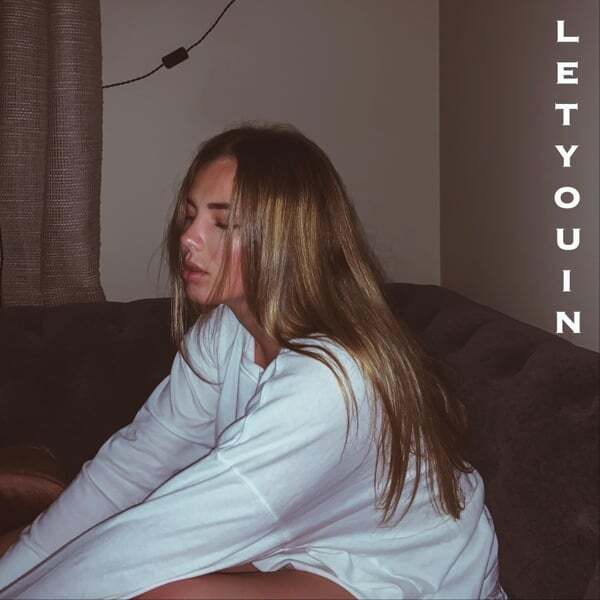Cover art for Let You In